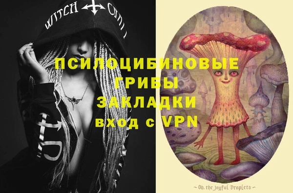 Альфа ПВП Аркадак