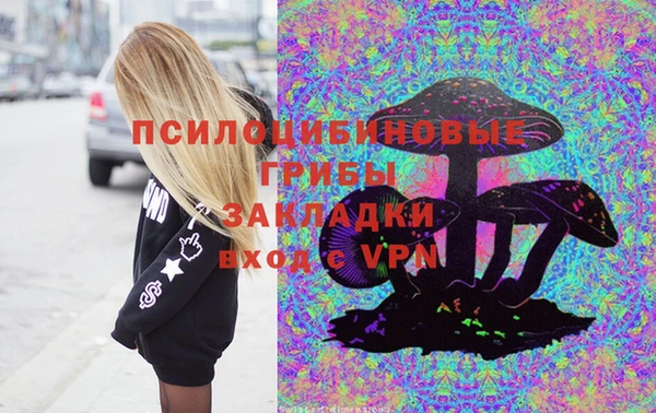 PSILOCYBIN Армянск