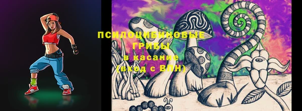 PSILOCYBIN Армянск