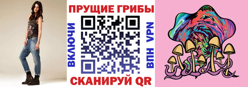 как найти закладки  Приморско-Ахтарск  Галлюциногенные грибы GOLDEN TEACHER 