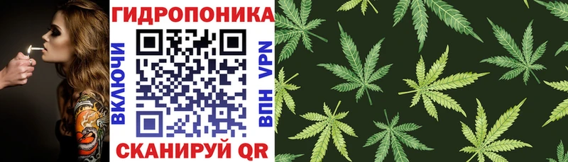 Шишки марихуана Bruce Banner  Приморско-Ахтарск 